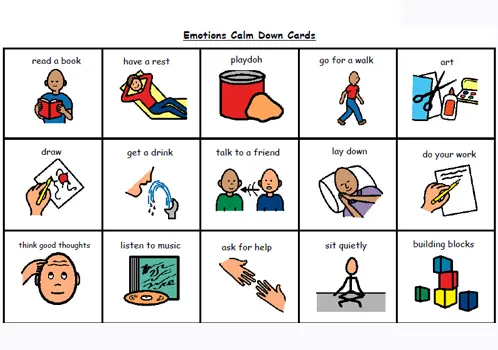 Emotional Regulation Mechanism